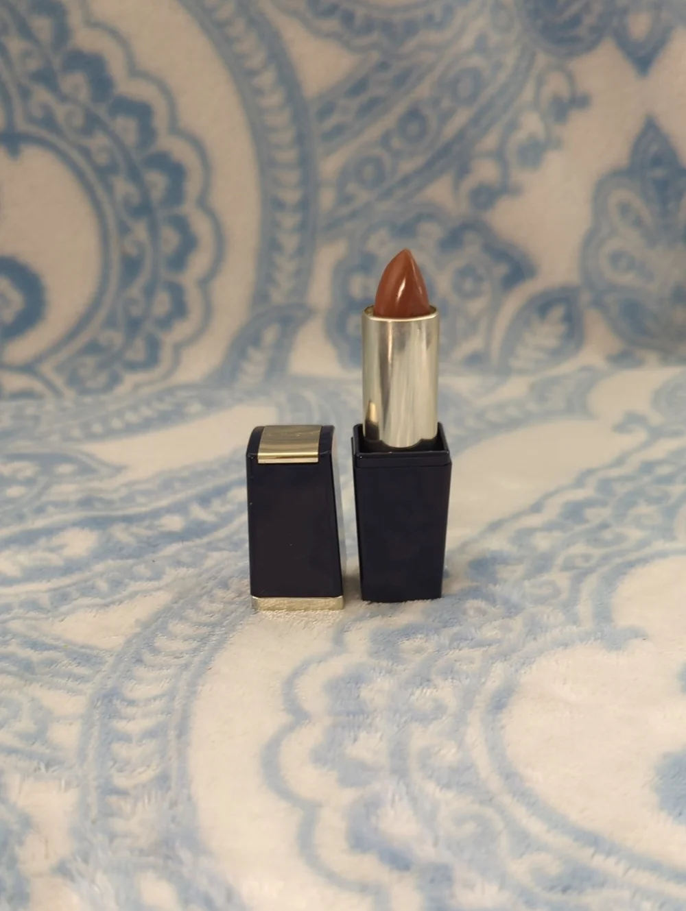 Classic Neutral Brown Lipstick in Dark Navy Case